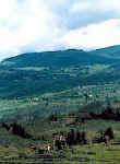 View of the country north of Fiesole